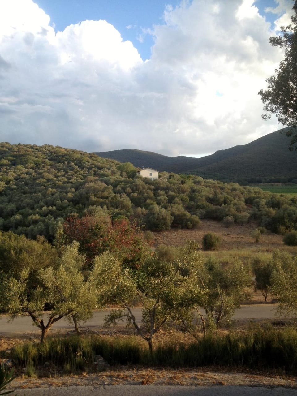 View (from property/room)