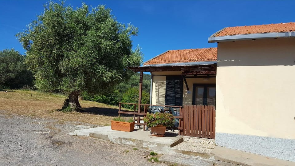 Property building, Garden view