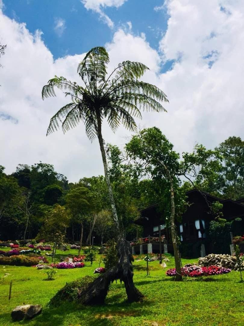 Spring Garden Bed and Breakfast in Sabah