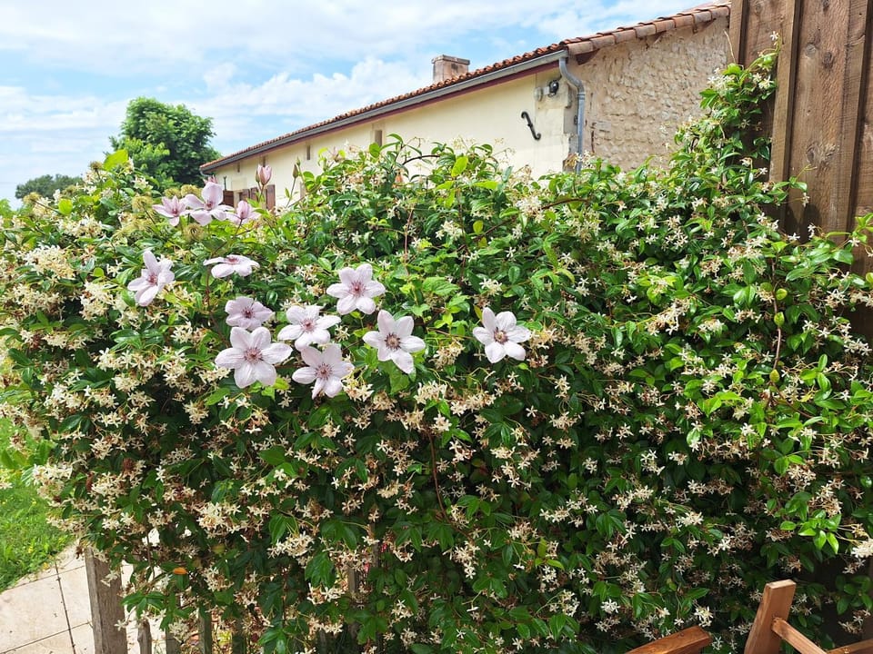 Gîte Cosy Grand confort dans un écrin de verdure House in Nouvelle-Aquitaine