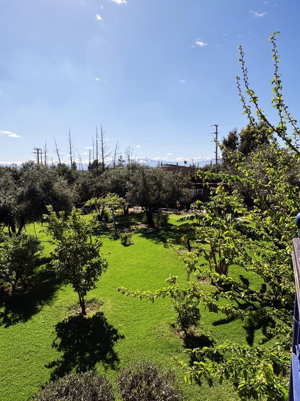 Spring, Day, Natural landscape, Garden, Garden view