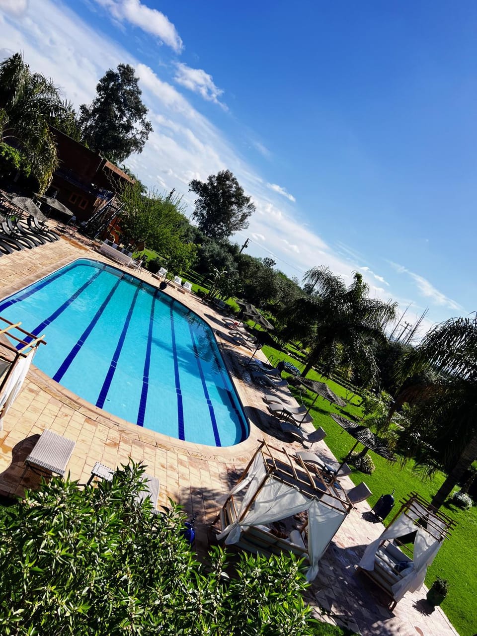 Day, Garden, Garden view, Pool view, Swimming pool