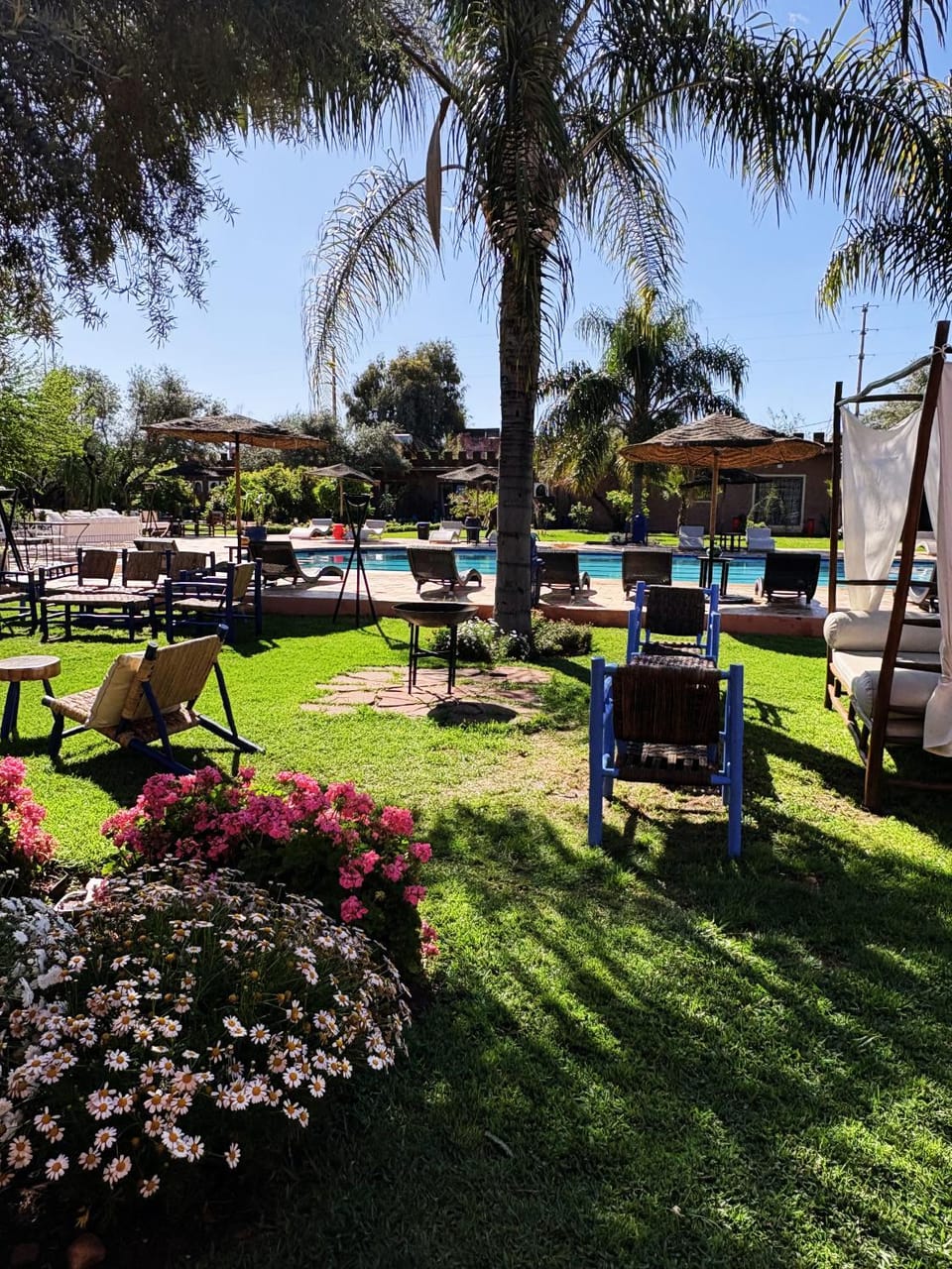 Spring, Day, Natural landscape, Garden, Garden view, Pool view, Swimming pool, sunbed
