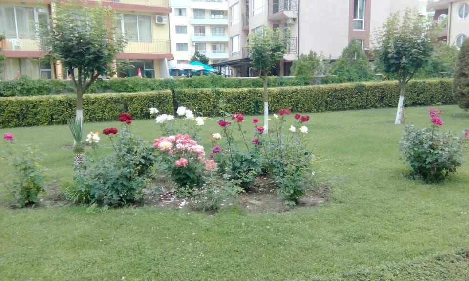 Bravo 5 Sunny Beach Apartment in Sunny Beach