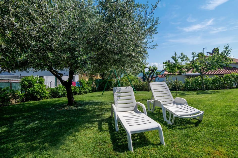 Garden, Garden view, sunbed