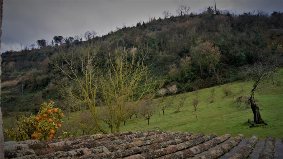 Agriturismo Monterone Farm Stay in Lazio