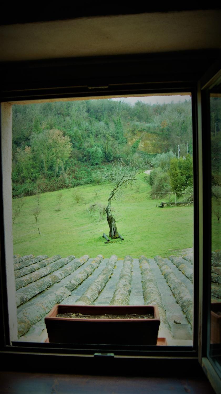 Agriturismo Monterone Farm Stay in Lazio