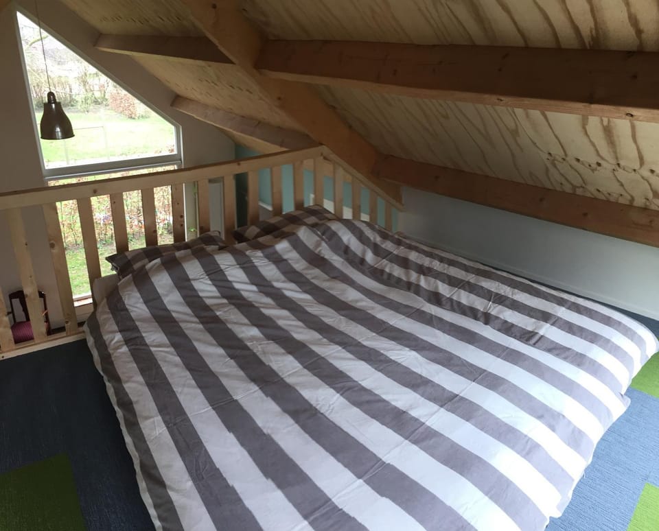 Bed, Day, On site, Garden view