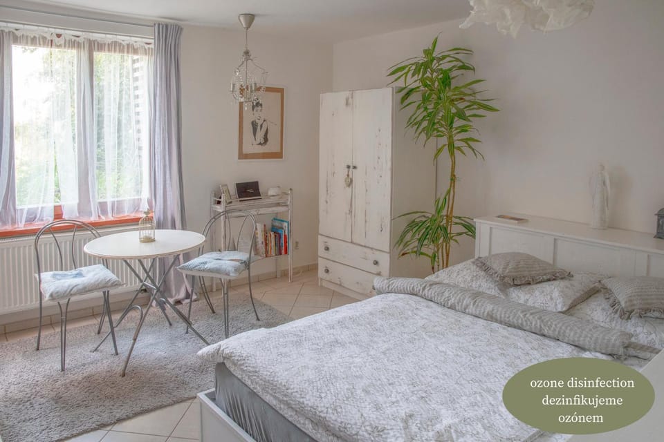 Bed, Living room, Photo of the whole room, Seating area, Bedroom