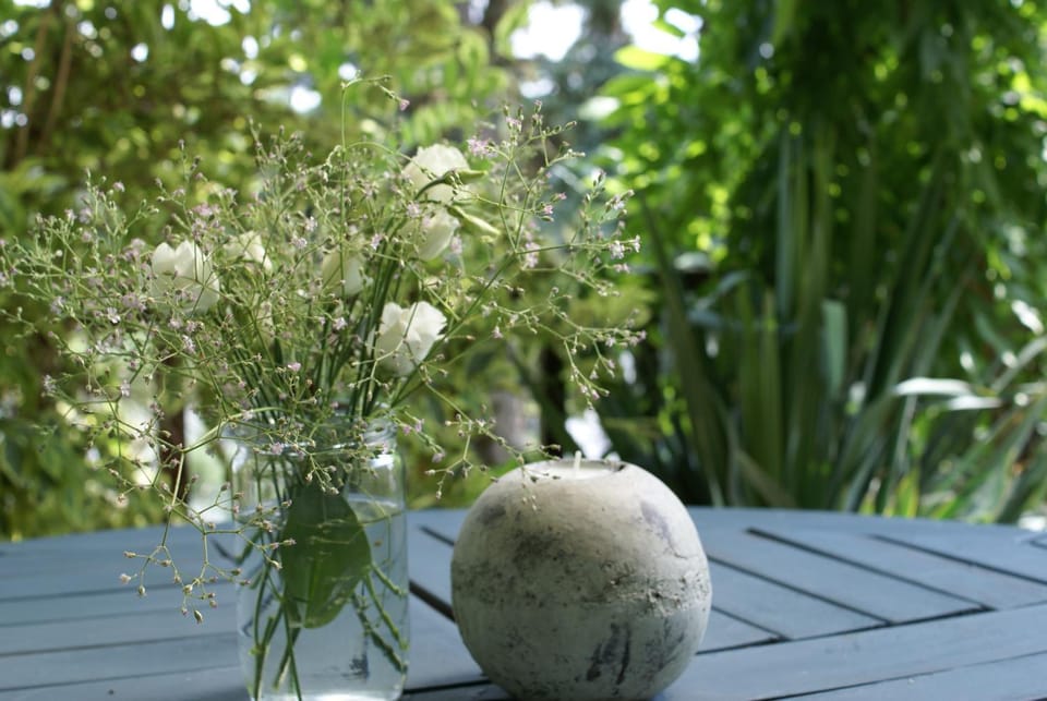 Day, Summer, Garden, Balcony/Terrace, River view
