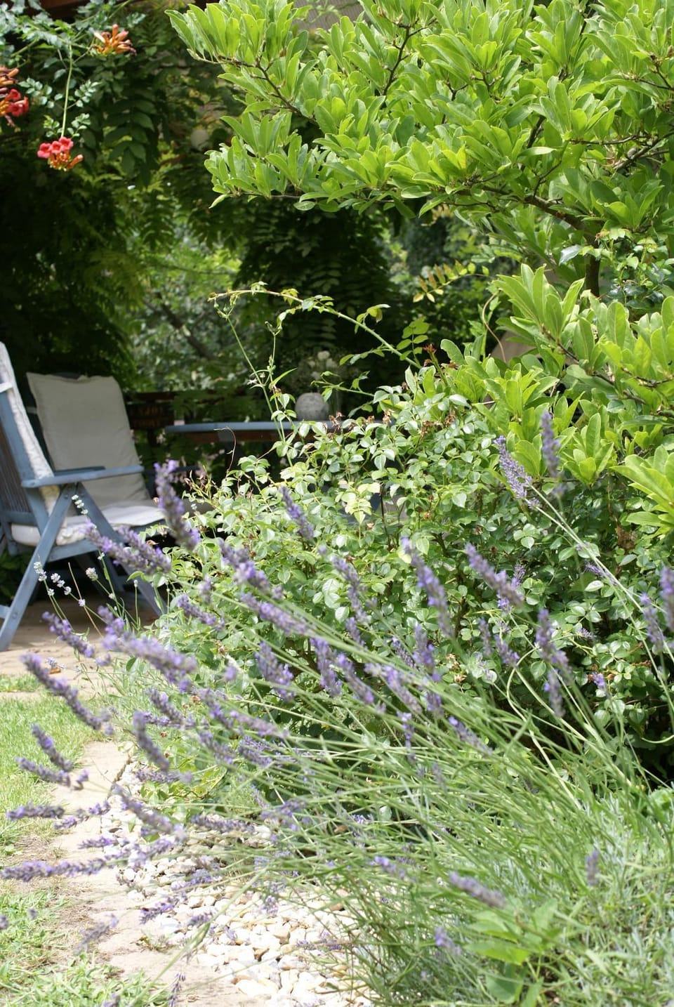 BBQ facilities, Garden, Balcony/Terrace, Garden view