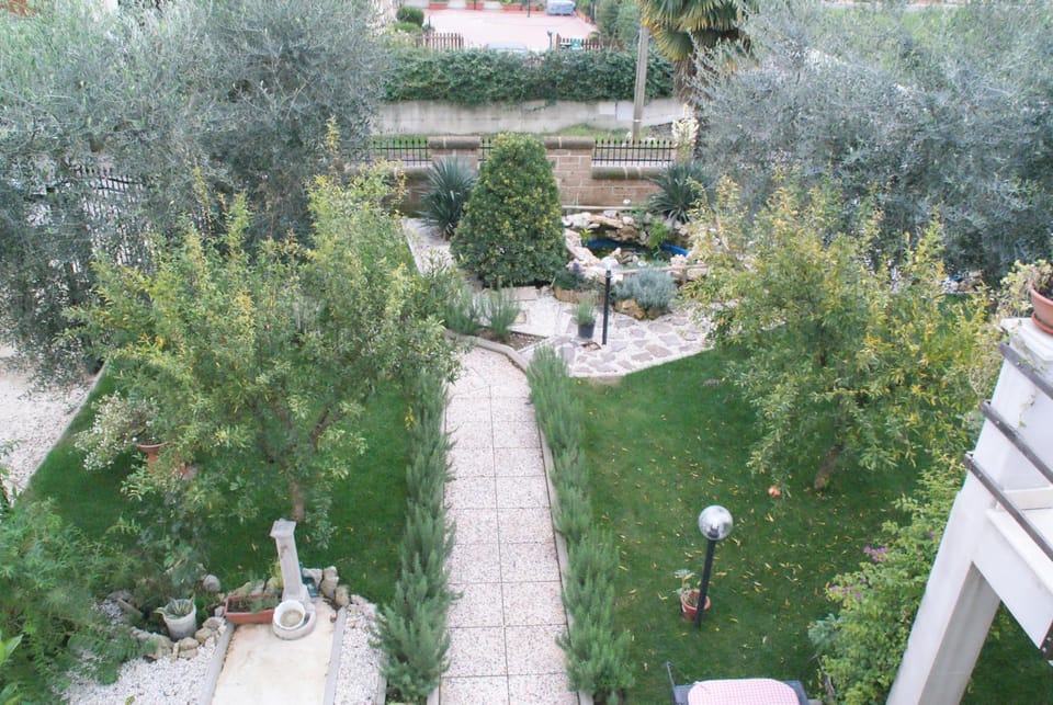 Garden view