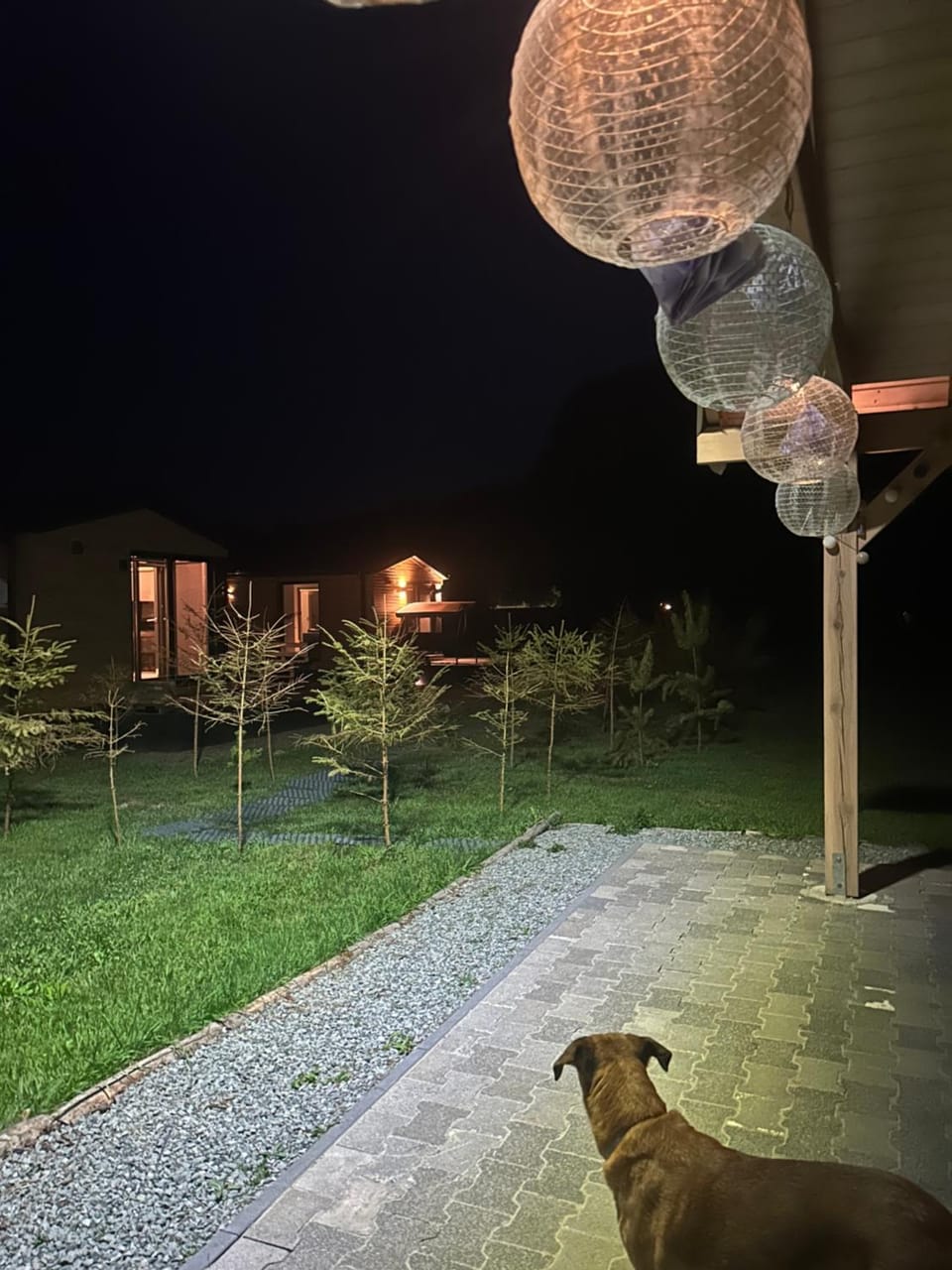 Night, Garden, Garden view