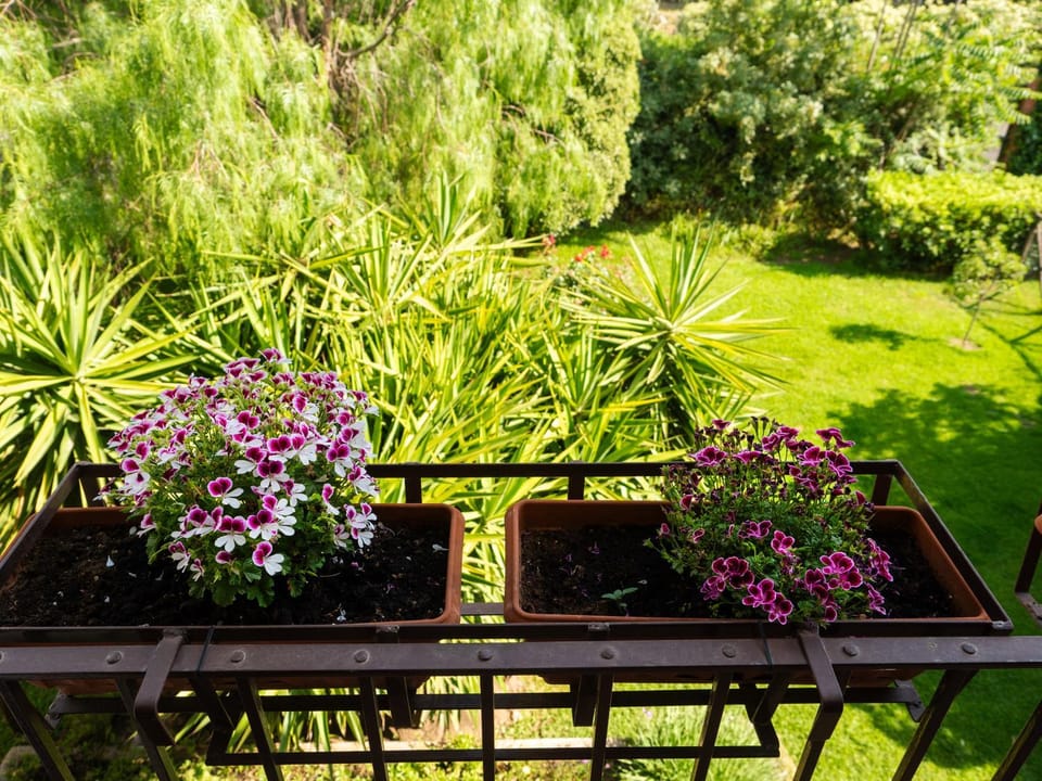La fastuca casa vacanze House in Sicily