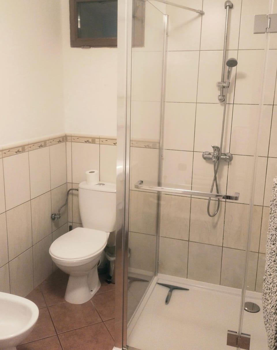 Shower, Toilet, Bathroom, bidet, towels