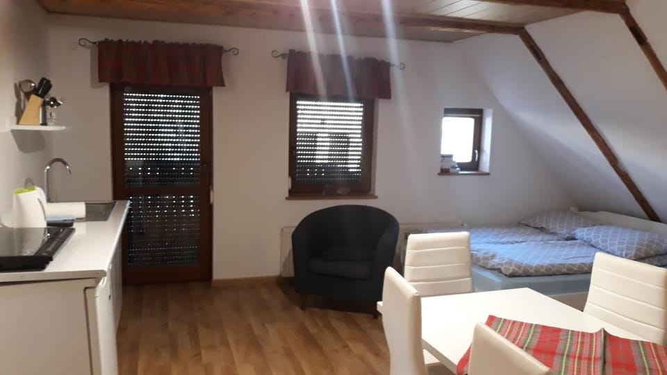 Kitchen or kitchenette, Living room, Seating area, Dining area