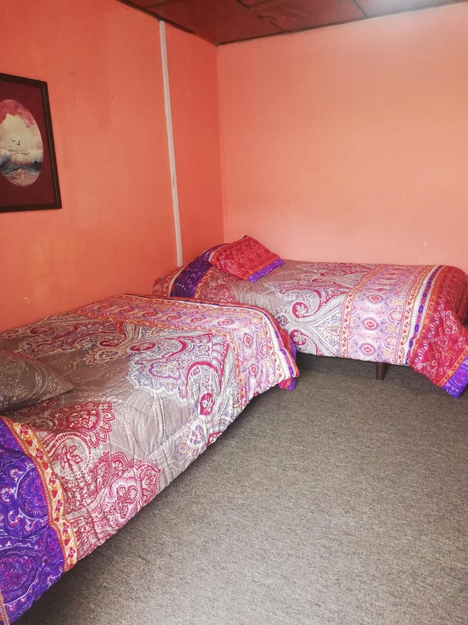 Montano Camping & Hostel Hostel in Banos