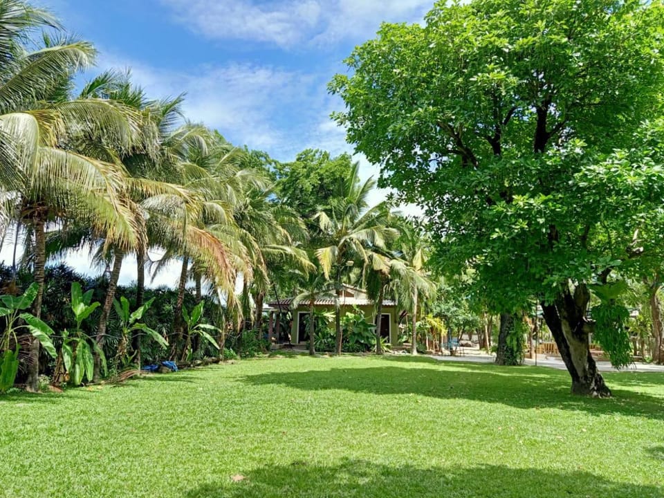 Garden, Garden view