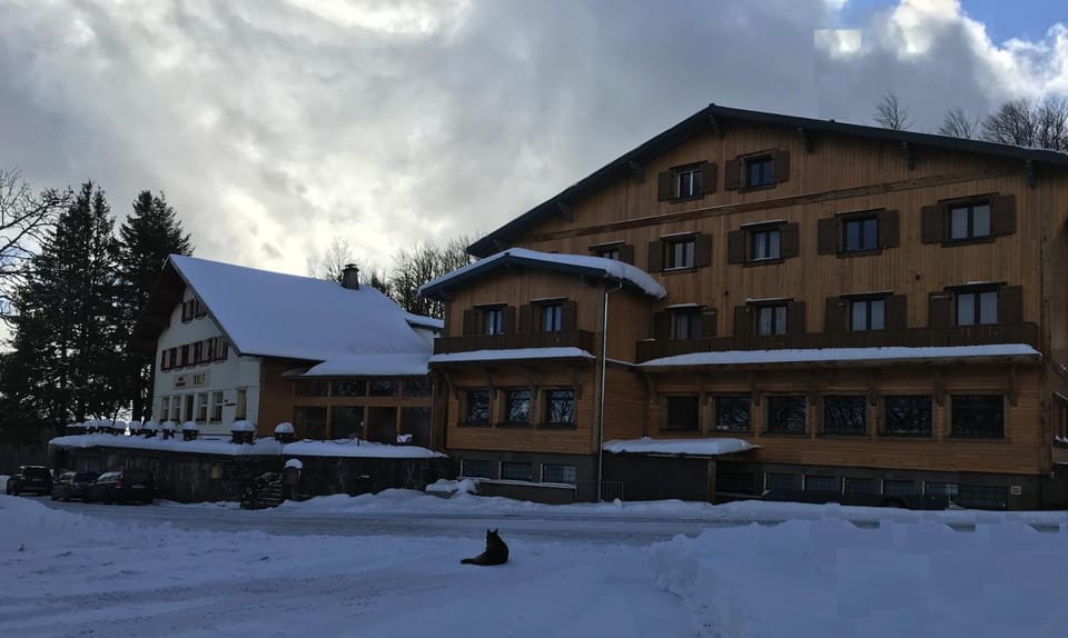 Hôtel Restaurant Wolf Hotel in Vosges