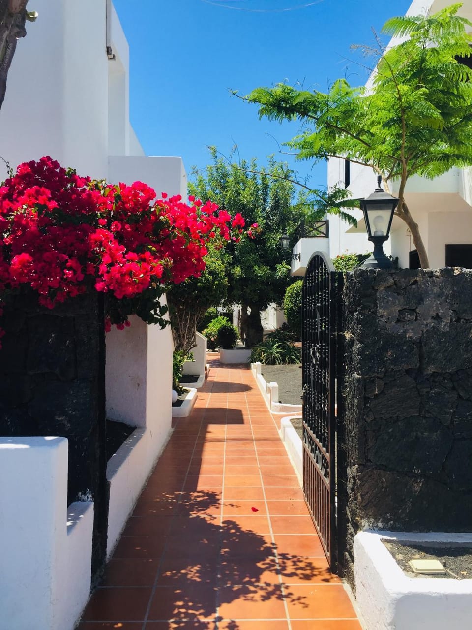 Facade/entrance, Other, Other, Decorative detail, Garden view