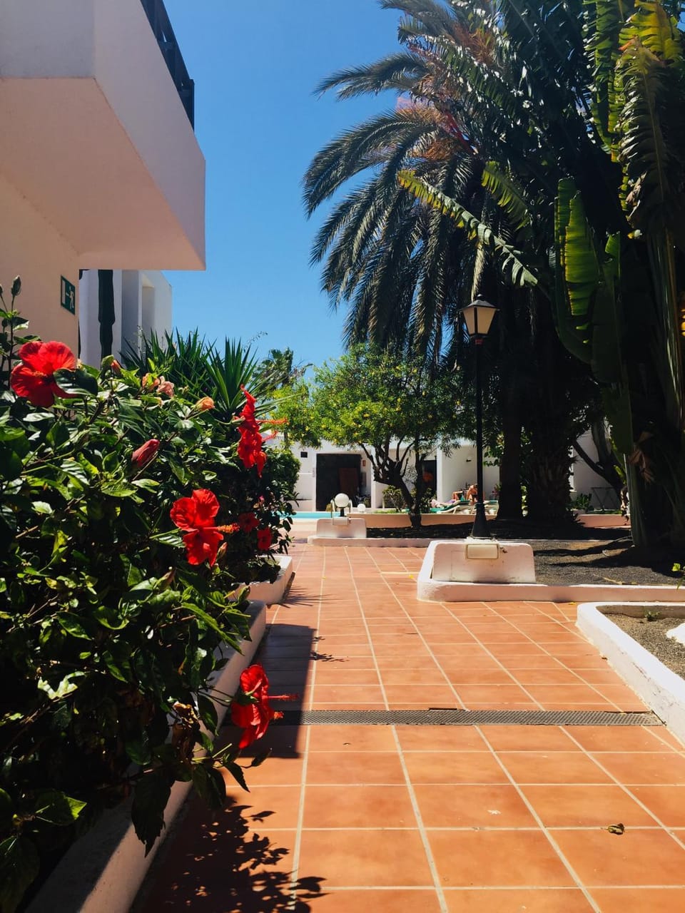 Garden view, Area and facilities