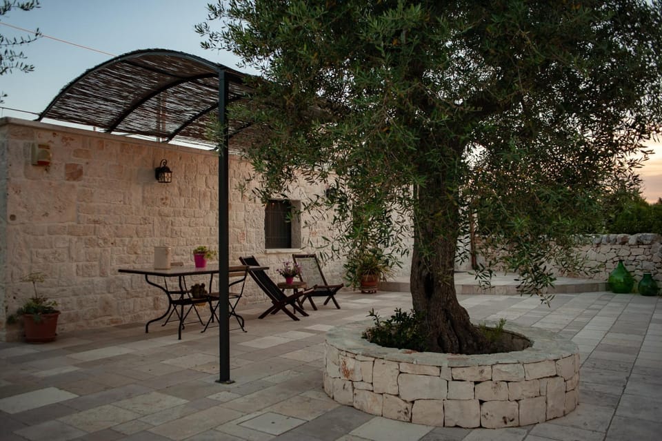Patio, Facade/entrance, Day