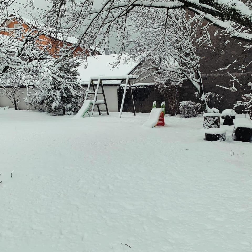 Day, Winter, Garden, Garden