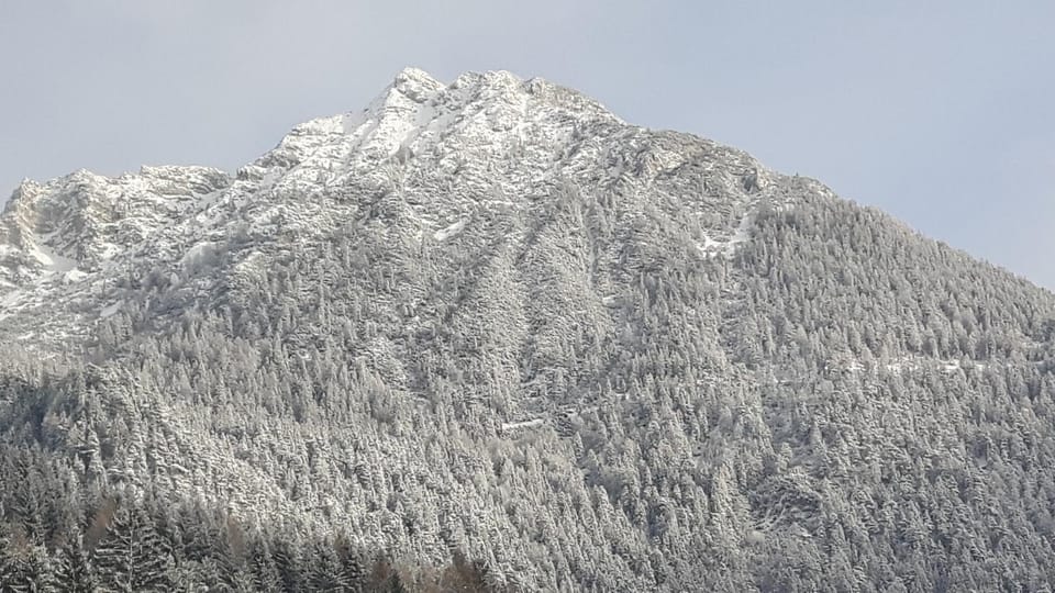 Ferienwohnungen Regina Unger Apartment in Tyrol