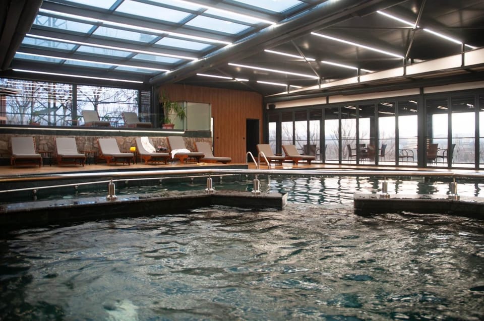 Spa and wellness centre/facilities, Swimming pool