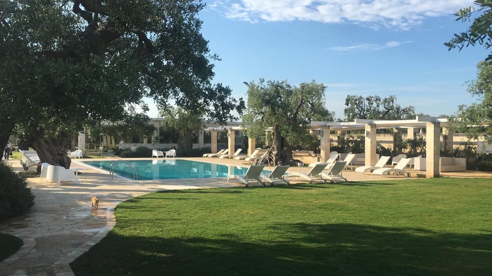 Pool view