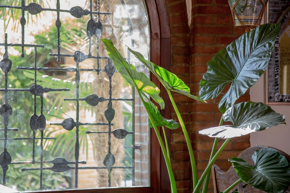 Ca' delle palme Bed and Breakfast in Veneto