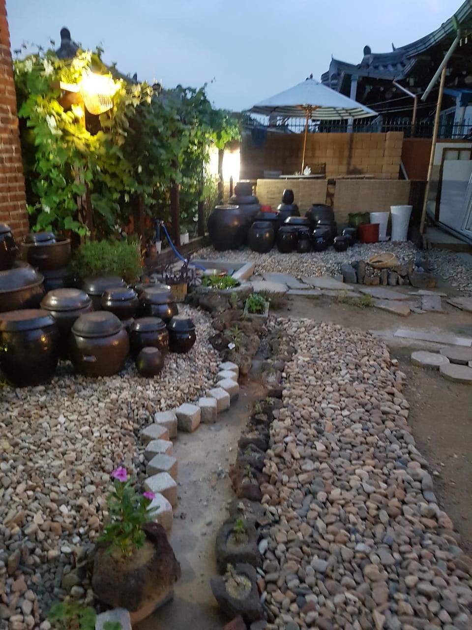 Garden view