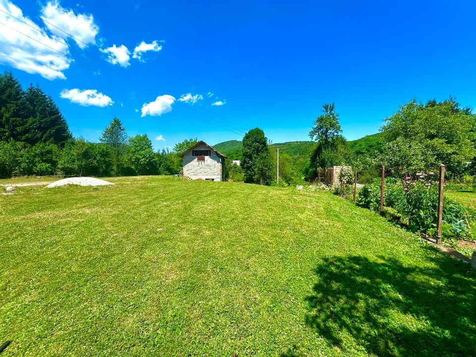Garden, Garden, Garden view