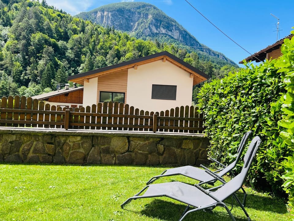 Garden, Mountain view, sunbed