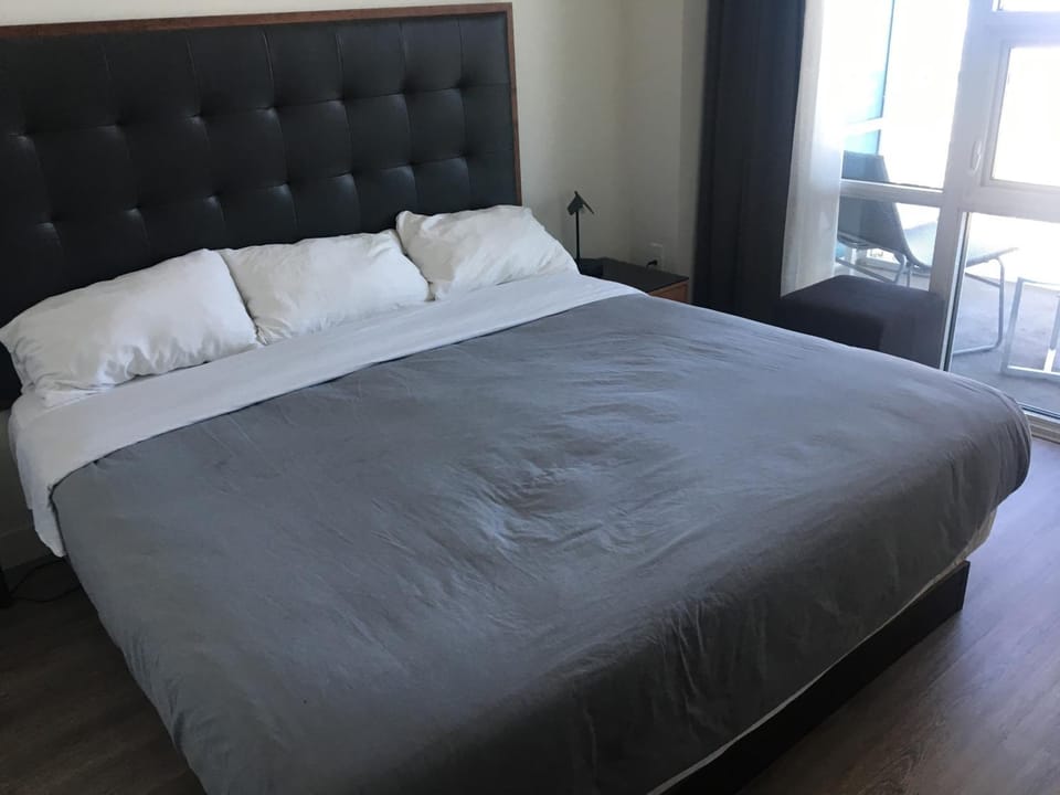 Luxurious Highrise 2b 2b Apartment Heart Of Downtown LA Apartment in Los Angeles