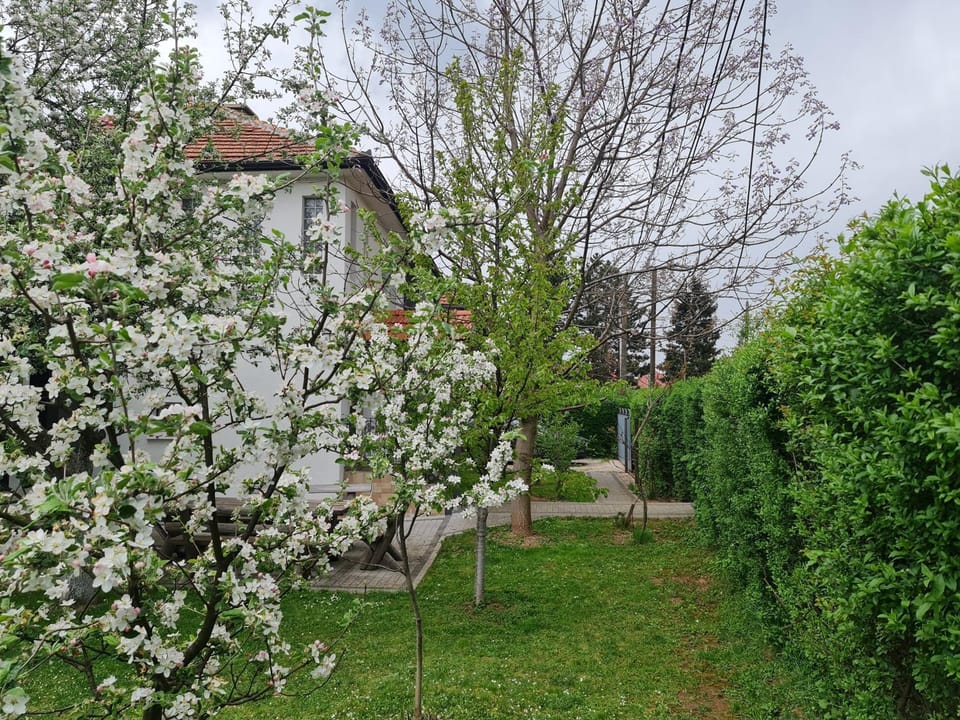 Green Garden Apartment Apartment in Federation of Bosnia and Herzegovina