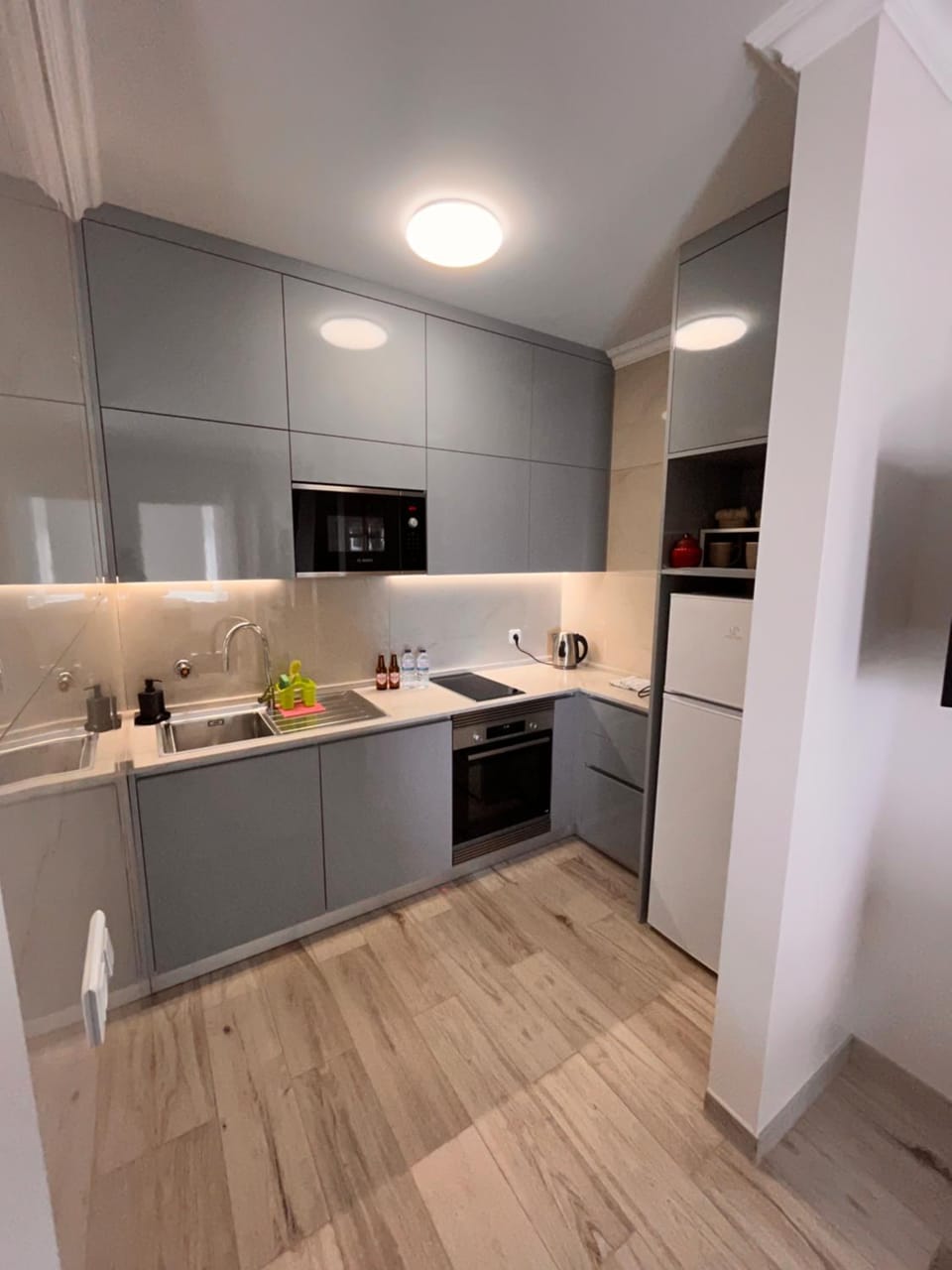 Kitchen or kitchenette, dishwasher, minibar, pet friendly, stove