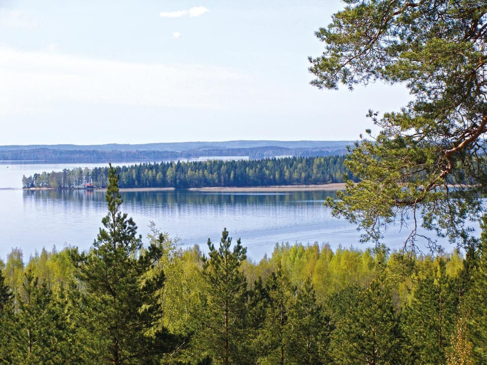 Natural landscape, View (from property/room)