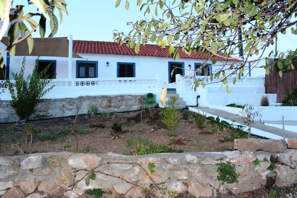 Property building, Garden view