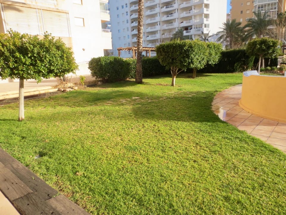 Garden, Swimming pool