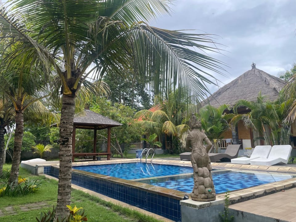 Day, Garden, Garden view, Pool view, Swimming pool, sunbed