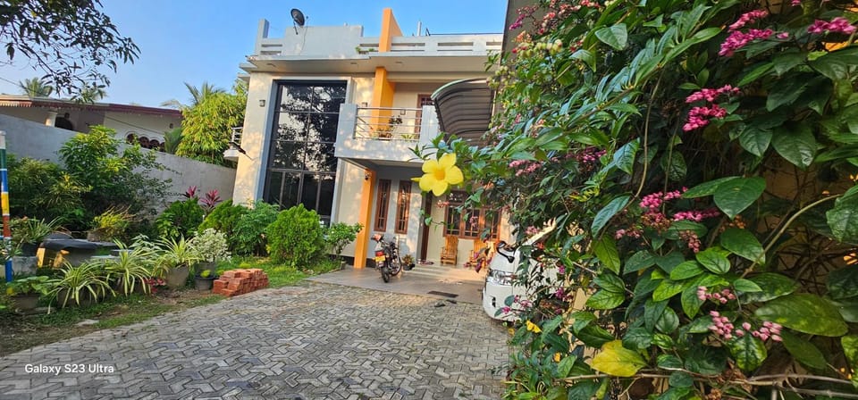 Property building, Garden view
