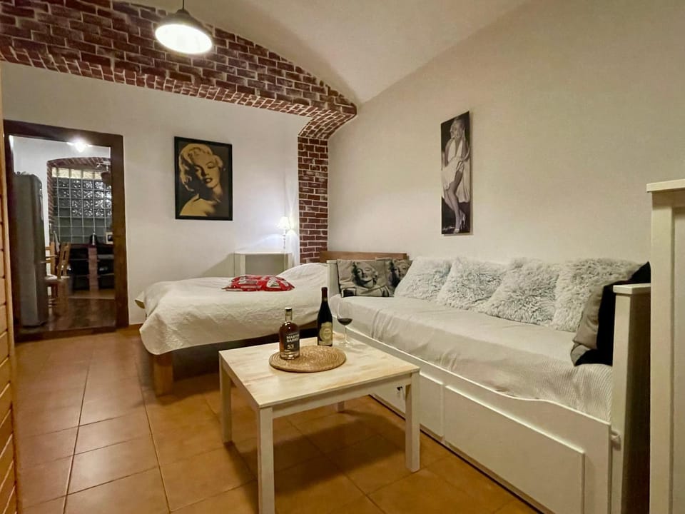 Bed, Living room, Photo of the whole room, Seating area, Bedroom