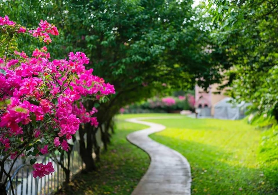 Natural landscape