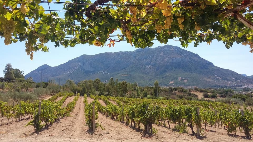 Punteri Bed and Breakfast in Sardinia