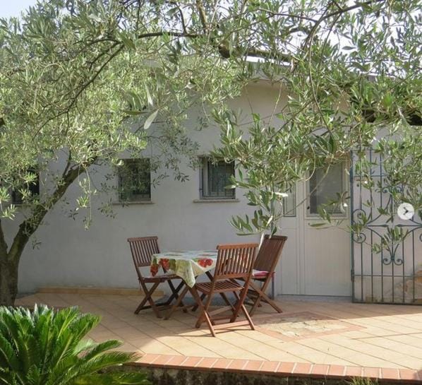 Property building, Garden, Balcony/Terrace