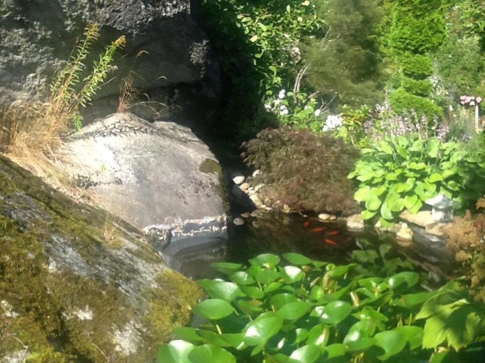 Garden view