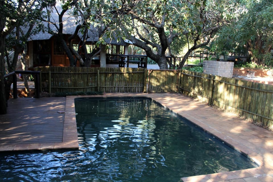 Swimming pool, Swimming pool