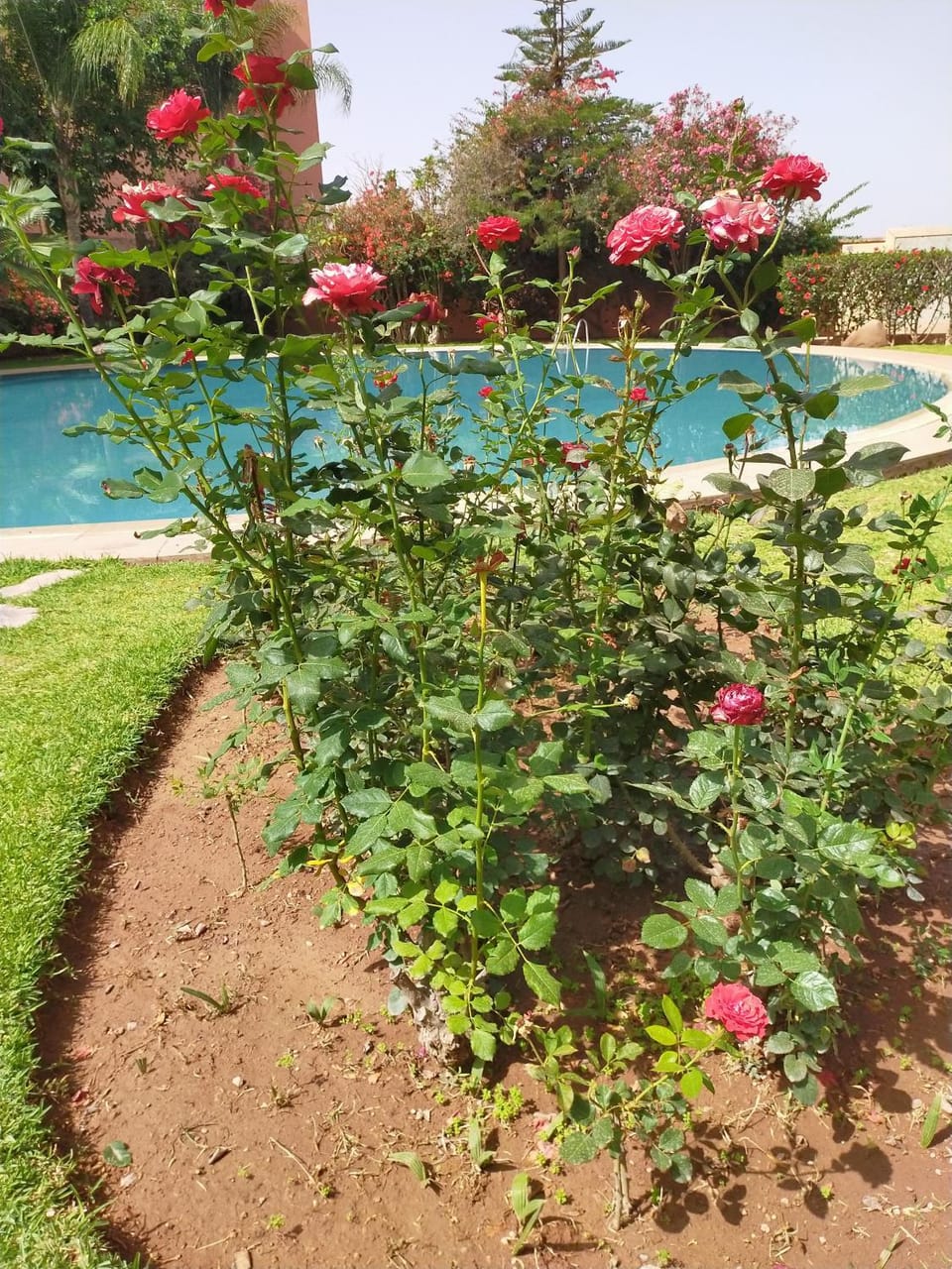 Ritaj Apartement Apartment in Marrakesh