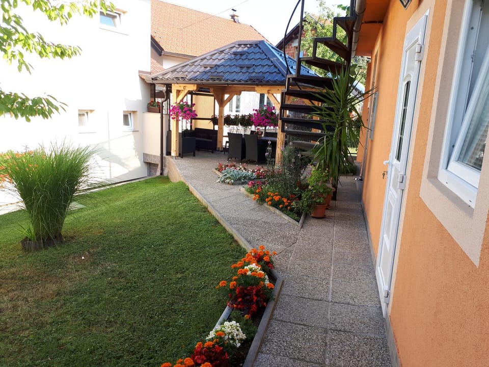 Patio, Garden, Garden